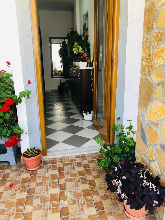 Guesthouse Jasmine Εξαμίλιο Εξωτερικό φωτογραφία